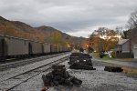 Southbound NS Coal Train